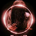 The Ring - Το Δαχτυλίδι [Collection 1998-2013]