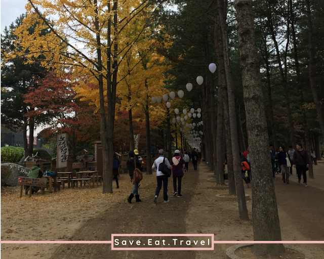 Nami Island Walkway