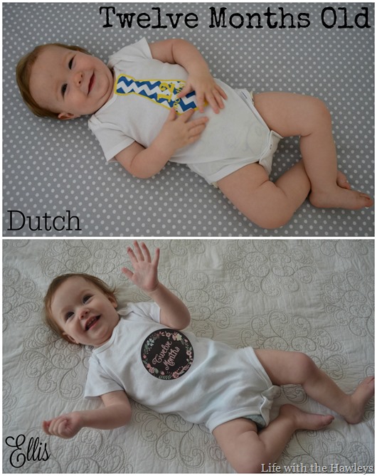 Twelve Months Old