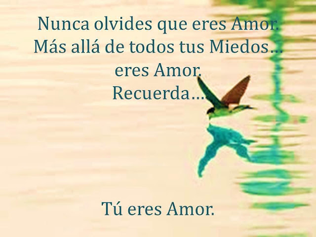 NUNCA OLVIDES QUE ERES AMOR