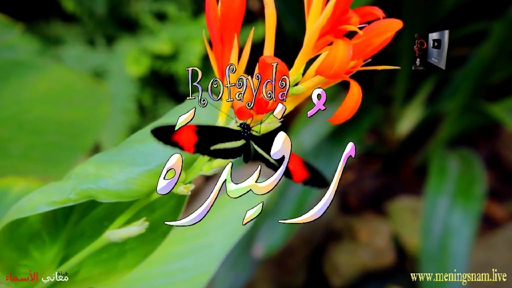 معنى اسم رفيدة, وصقات حاملة, هذا الاسم, Rofayda,