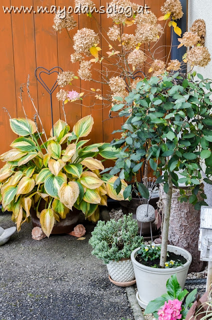 Vorgarten im Herbst