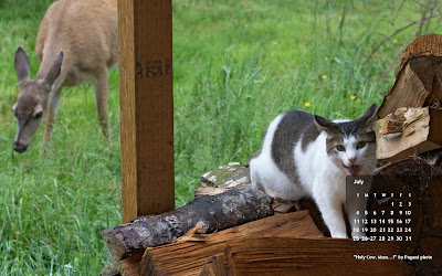 free desktop wallpaper cat calendar for July - Lucy and the Deer. Click on image to get full-size, then right-click and save as background