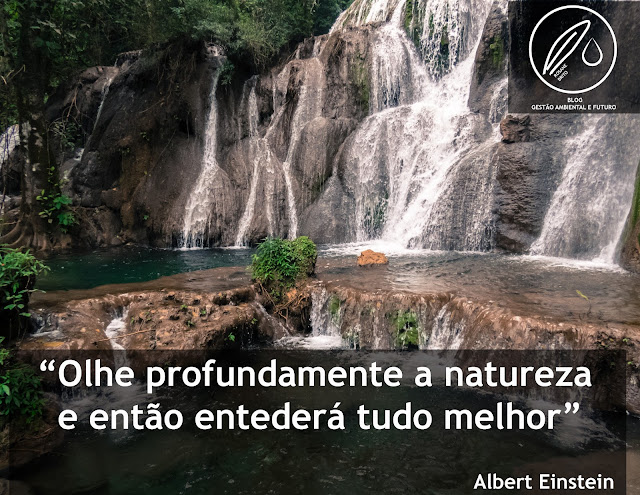 Frase natureza