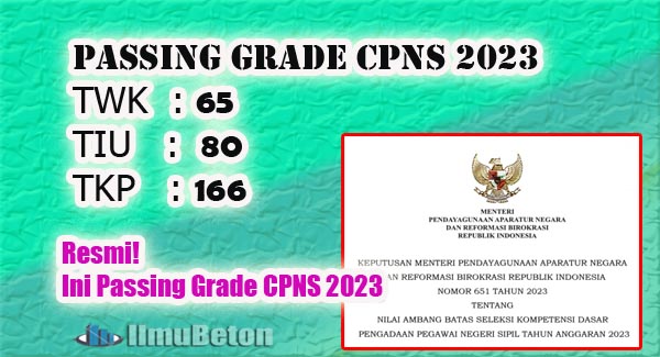 Resmi! Ini Passing Grade CPNS 2023