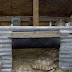 Building A Tortoise House