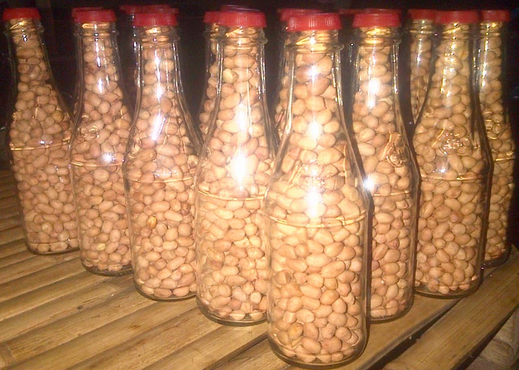 Kacang botol 