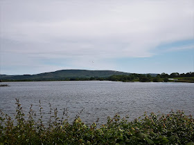 Arlington Reservoir