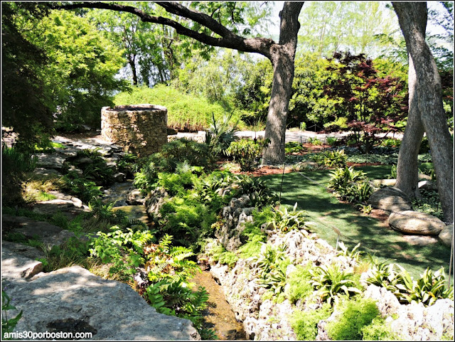 Dallas Arboretum & Botanical Garden: Nancy Rutchik Red Maple Rill