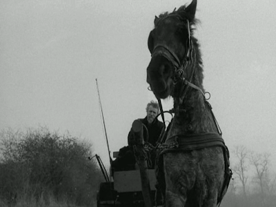 The Turin Horse, The Master Rides the Stubborn Horse in the Gale Storm, Directed by Bela Tarr