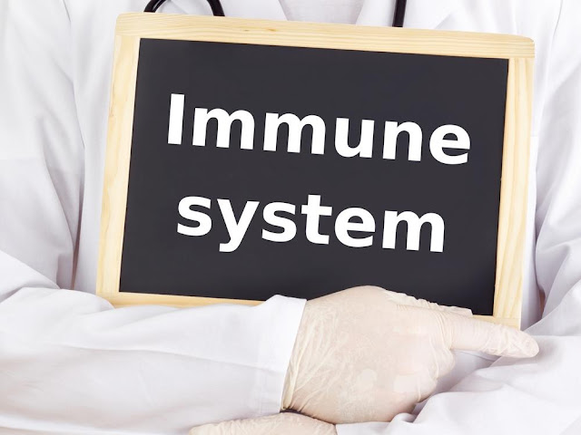 immune system - improve the immune system naturally