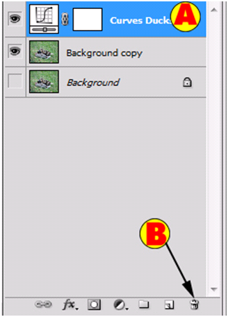 Delete Adjustment Layer