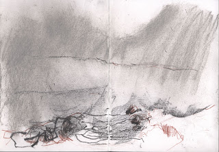  Drawing 3 from Snowdonia long drawing Jill Evans 2013