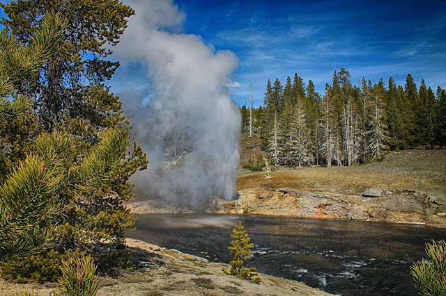 Yellowstone National Park Wyoming Idaho Montana geology travel field trip bison buffalo elk river geyser copyright RocDocTravel.com