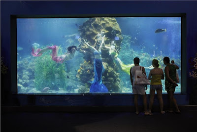 Aquarium Nha Trang