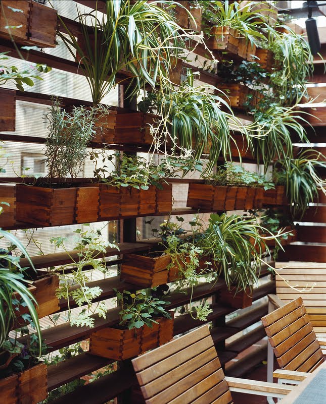 zizmor-house-exterior-plant-wall.jpg (JPEG Image, 645 × 801 pixels) # 