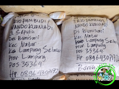 Benih Padi TRISAKTI 75 HST Panen   sebanyak 20 Kg atau 4 Bungkus kemasan 5 Kg sudah dikemas jadi 2 koli 