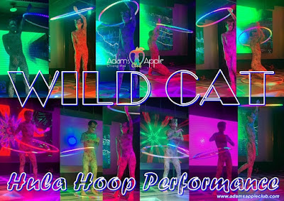 WILD CAT Hula Hoop Performance Adams Apple Club Chiang Mai