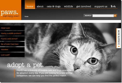 Tech News How To Create An Effective Non-Profit Website
