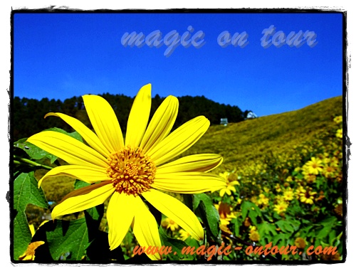 photo magic