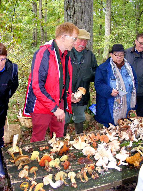 An expert pharmacist/mycologist conducting a public outreach fungi education session.  Indre et Loire, France. Photographed by Susan Walter. Tour the Loire Valley with a classic car and a private guide.