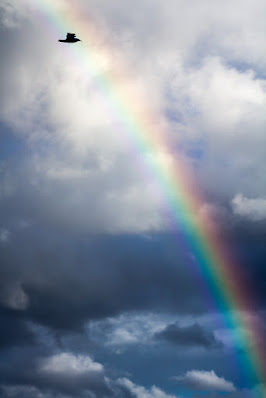 Fotografiando bajo la lluvia con el arco iris