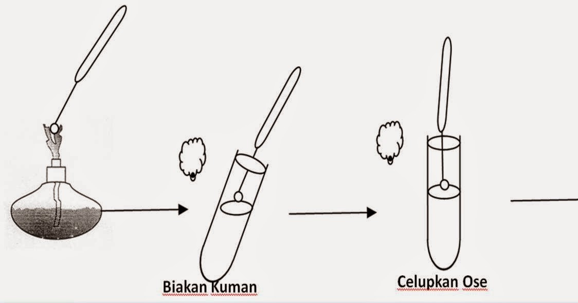 Artanta-Bagus: Uji Media Biokimia