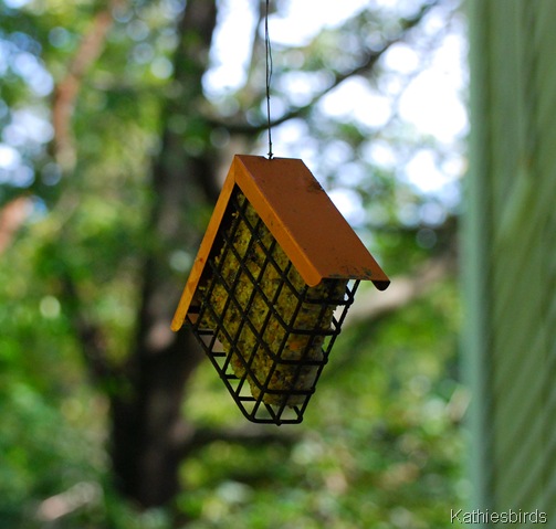 3. suet-kab