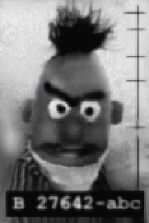 Mugshot of Bert