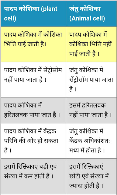 padap-koshika-jantu-koshika-mein-antar