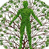 Discuss factors influencing development with reference to arguments or Discuss the determinants of development in detail