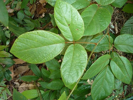P1020573