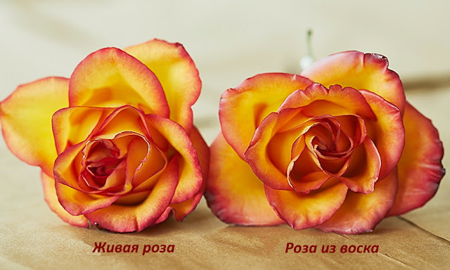 восковые розы