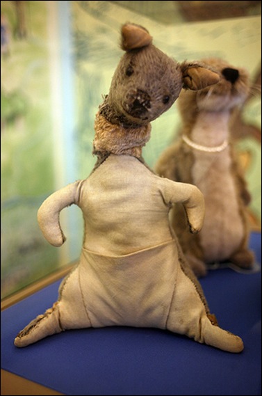 Kanga