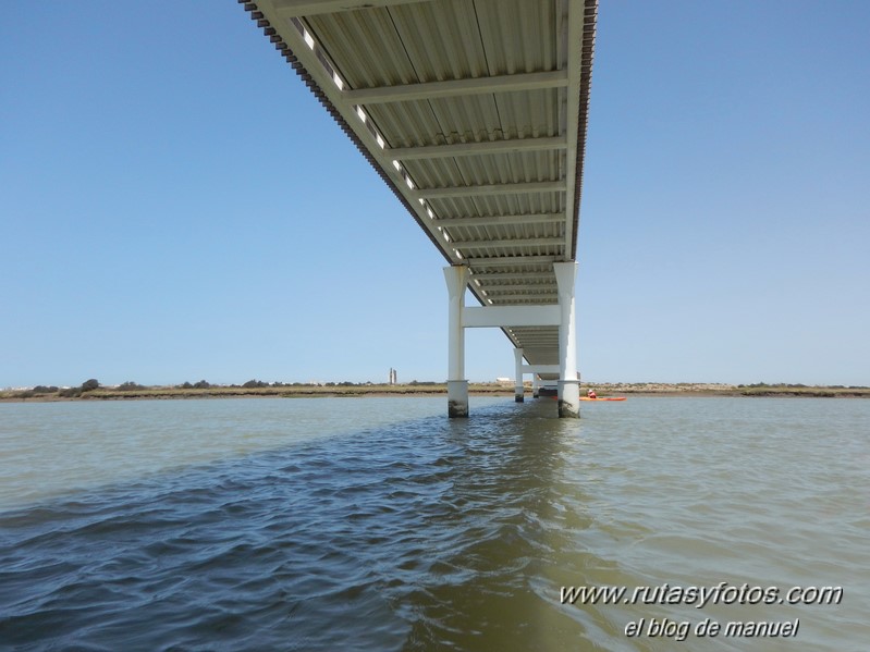 Kayak San Fernando - Chiclana