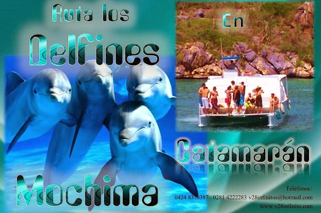 RUTA LOS DELFINES PASEO A MOCHIMA EN CATAMARAN 