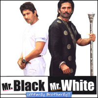 Mr. White Mr. Black 2008 Hindi Movie Watch Online