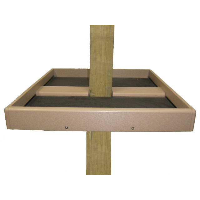 Bird Feeders With Trays