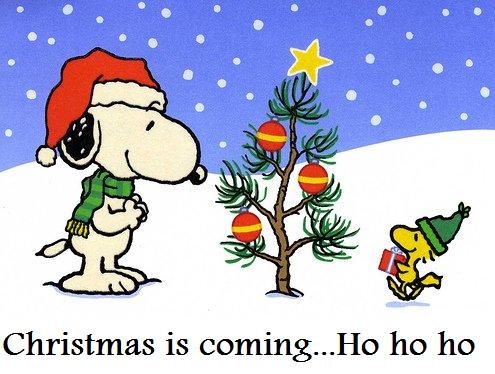 Christmas snoopy decorating Christmas tree with star and baubles by ...