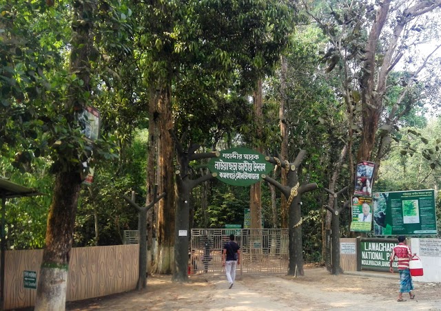 Tourist Place Lawachera, Maulvi Bazar, Sylhet