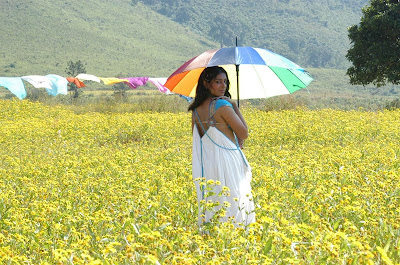 hot padma priya stills from telugu movie andhari banduvaya