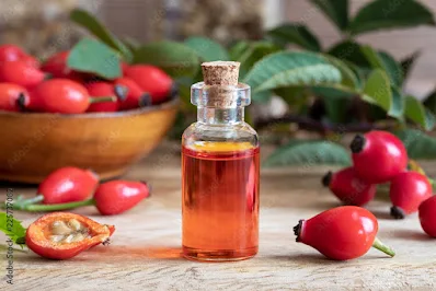 14. Rosehip Oil To remove Stretch Marks