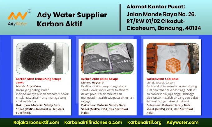 3 Bahan Karbon Aktif yang dijual Ady Water: Tempurung Kelapa, Tempurung Kelapa Sawit, Batu Bara