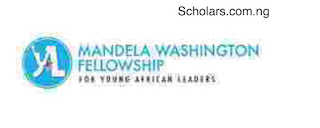 African leaders under 30 will receive the 2023 Mandela Washington Fellowship