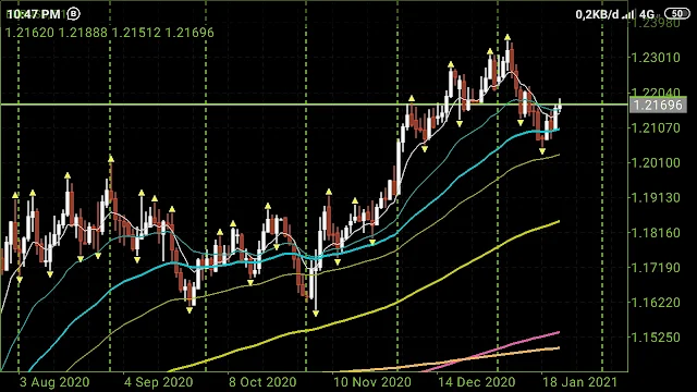 EURUSD Minggu ke Tiga Januari 2021