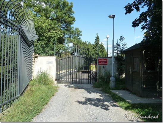 P1020885