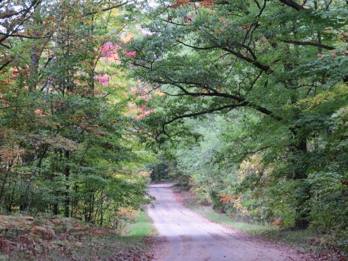 Winter Road