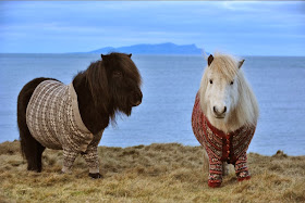 Funny animals of the week - 14 February 2014 (40 pics), two ponies wear sweater