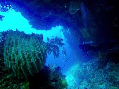 foto diving pintu kota point ambon