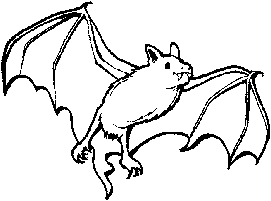Download Nocturnal Animals Coloring Pages : Bats Flying